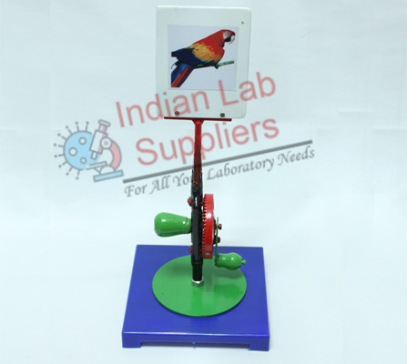 Parrot in Cage Model STEM Science Lab Demonstration Model